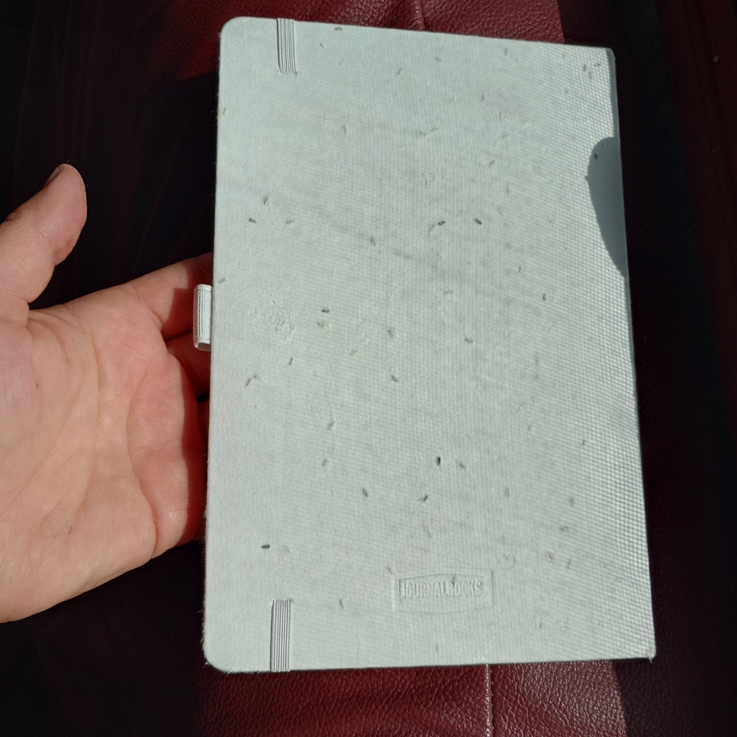 Biodegradable Notebook With Daisy Seeds