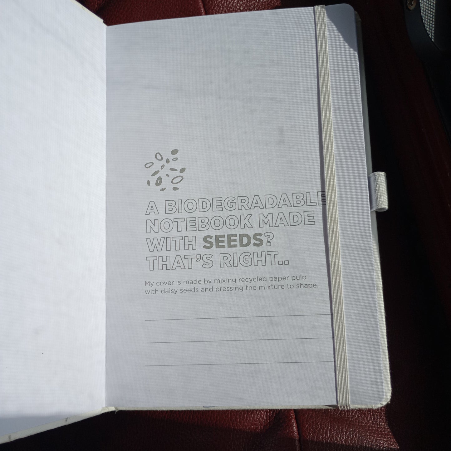 Biodegradable Notebook With Daisy Seeds