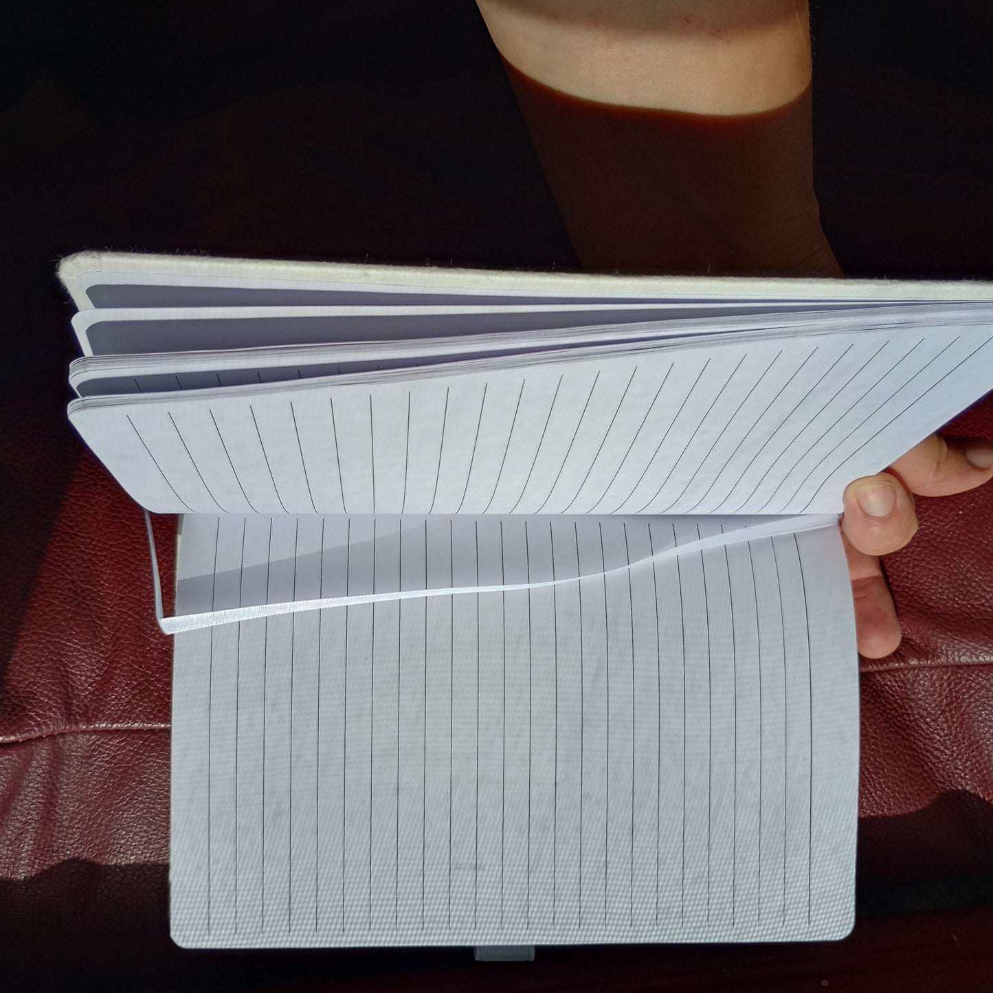 Biodegradable Notebook With Daisy Seeds
